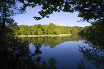 forest of dean gloucestershire uk