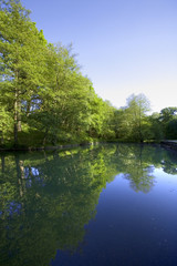 forest of dean gloucestershire uk