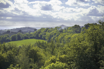 Obraz premium forest of dean gloucestershire uk