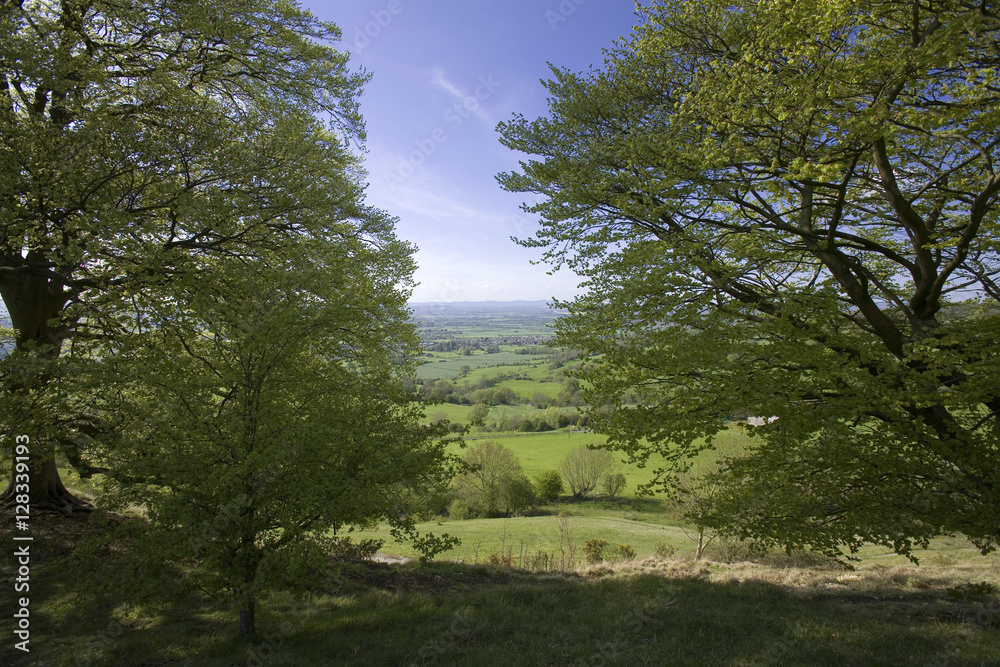 Poster cotswold view uk