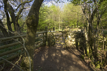 cotswold view UK