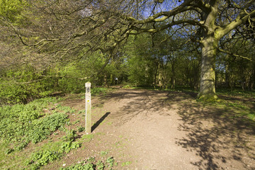 cotswold view UK