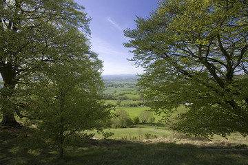 cotswold view UK