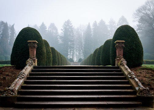 Parkfriedhof Ohlsdorf in Hamburg im Nebel