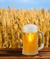 cold glass mug of beer in a landscape