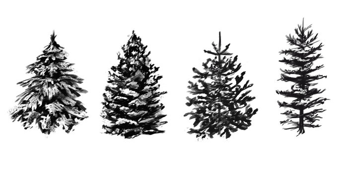 Set of grayscale winter trees.