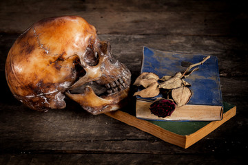 still life with human skull and roses dried and book on old wooden background