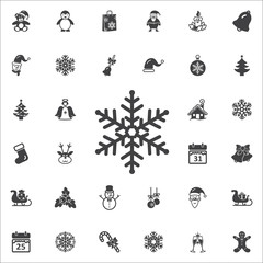 Snowflake Icon