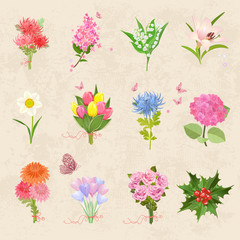 cozy collection with different bouquet of lovely flowers with bu