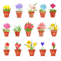 romantic collection of cute flowerpots with flowers for your des