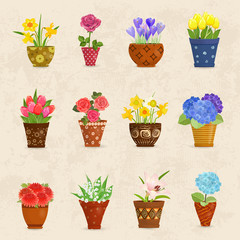 cozy collection of flowers planted in ceramic pots for your desi