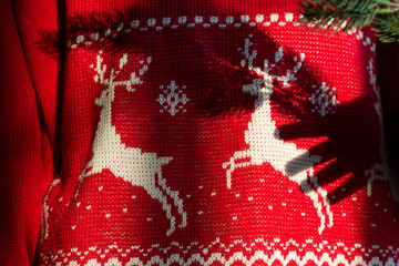 Cute red christmas jumper with white norwegian pattern of snowflakes and deers with shadow of hand holding branch of fir-tree.