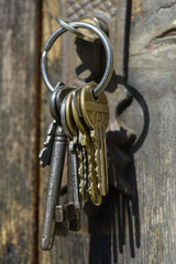 Bunch of old keys hanging on wooden wall..