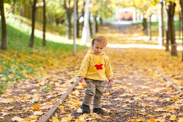 Child playing with leaves in autumn Park
