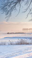 Great nice cozy winter landscape in the Netherlands