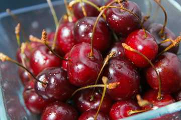 Cherry in a glass plate close up