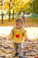 Child playing with leaves in autumn Park
