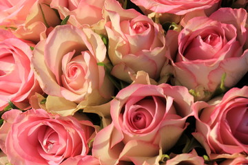 Pink roses wedding bouquet