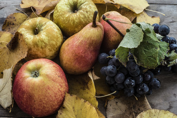 frutta autunnale