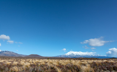 Panorama Landscape Tongariro National Park, Mount Ruapehu and Ngauruhoe, New Zealand