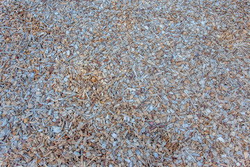 paillis naturel de broyats de bois 