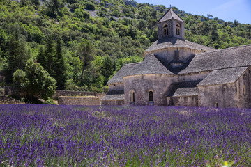 Fototapeta na wymiar Kloster und Lavendel in Frankreich