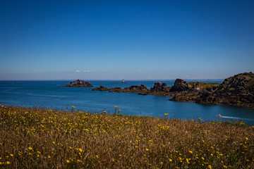 Meer und Blumen in Frankreich