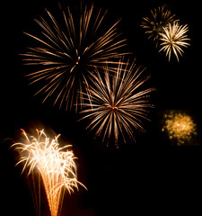 Obraz premium Kempton Park - Fireworks Show / Guy Fawkes Night