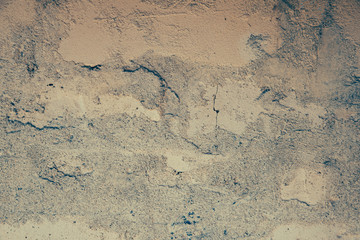 background with old tree
