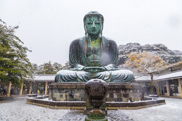 The Great Buddha in Kamakura.It's snowing.  Located in Kamakura, Kanagawa Prefecture Japan.