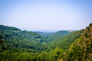 Fototapeta na wymiar vista point of frensh forest during hike