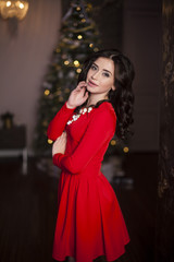 Fototapeta na wymiar Cute girl in red dress with Christmas tree