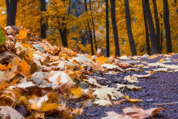 Russia. Moscow. Neskuchniy Garden. The evening in the park.