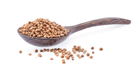 Coriander seed, Dry Coriander seeds in wooden spoon isolated on