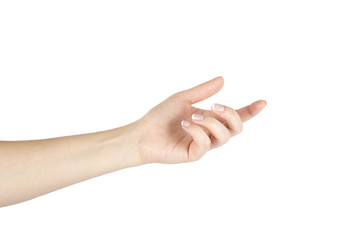 Woman's hand on a white background. Isolated.