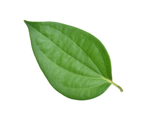 Obraz premium Green leaf. Green peppercorns leaf isolated on a white backgroun