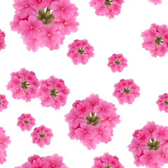 Fototapeta na wymiar seamless floral pattern on a white background