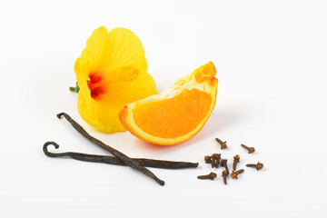 hibiscus, orange and spices