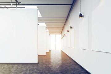Long corridor in art gallery with dark wood floor, toned