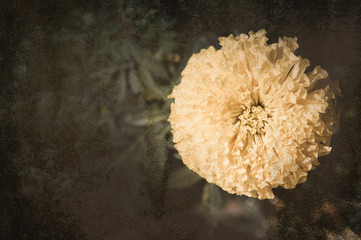 Flowers in the design of natural dark tones.