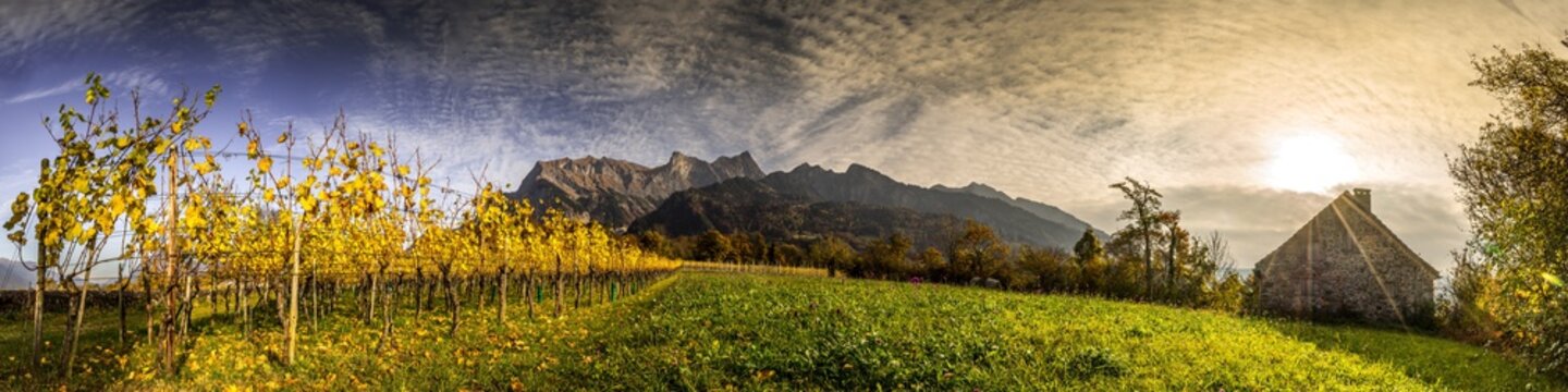 Herbststimmung in den Reben, Pano 4:1