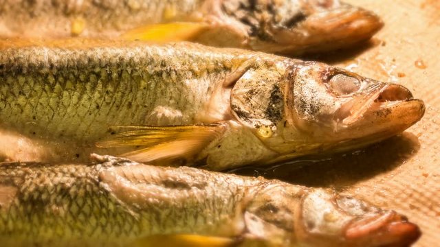 Time lapse cooking fish grilled