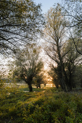 sunset over the lake 