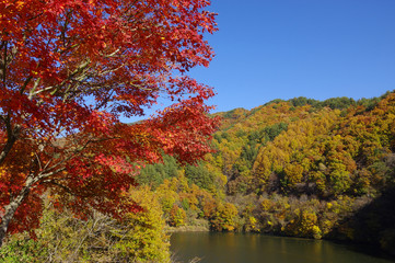 もみじ湖の紅葉