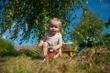 The child collects in the garden of apples
