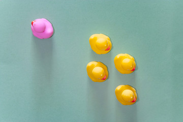 Racism, discrimination and social exclusion concept with color rubber ducks