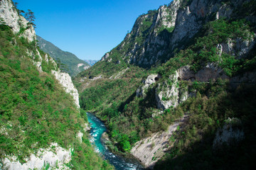 Mountains green forest nature landscape, river canyon
