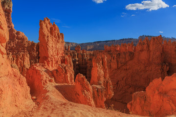 Fototapeta na wymiar Amazing scenic view of the hoodoos. Bryce Canyon National Park,