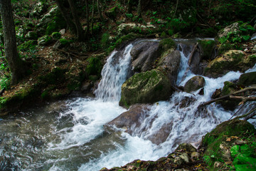 Clear waterfall in green forest, beautiful nature landscape