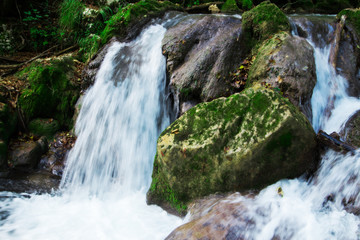 Obraz premium Clear waterfall in green forest, beautiful nature landscape